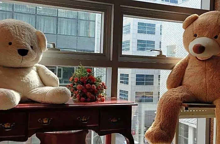 Hotel The Myeongdong 3*